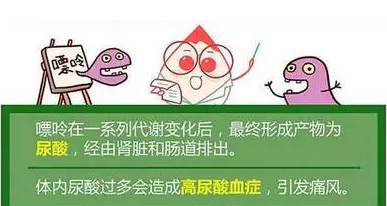 “嘌呤”—痛风发作的始作俑者!!痛风患者该怎样正确认识它?